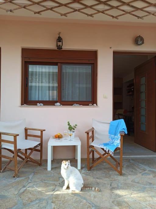 Plaka Elounda Cozy Apartment アイオス・ニコラオス エクステリア 写真